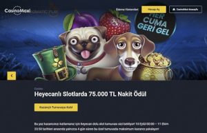 Casino Siteleri Bonuslari ve Kampanyalari